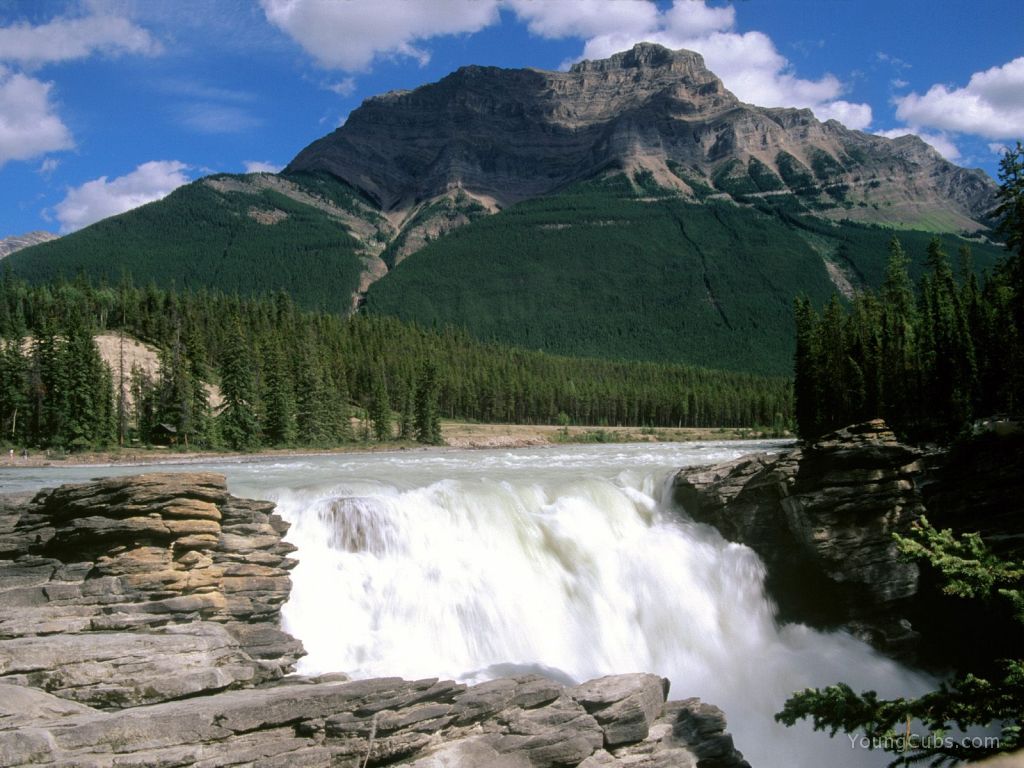 Rushing Waterfall, Jasper Area, Alberta, Canada